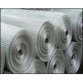 Stainless Steel Welded Wire Mesh of 304 or 316